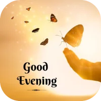 Images Good Evening